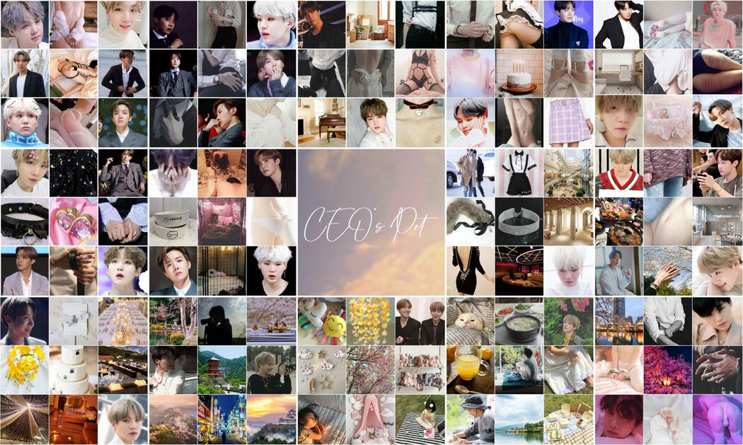 CEO's Pet moodboards