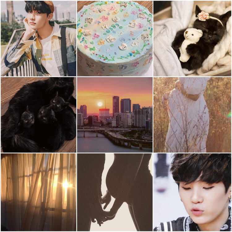 Sunshine in a Box moodboard