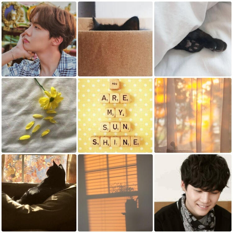 Sunshine in a Box moodboard