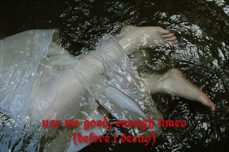 use me good, enough times (before i decay) graphic